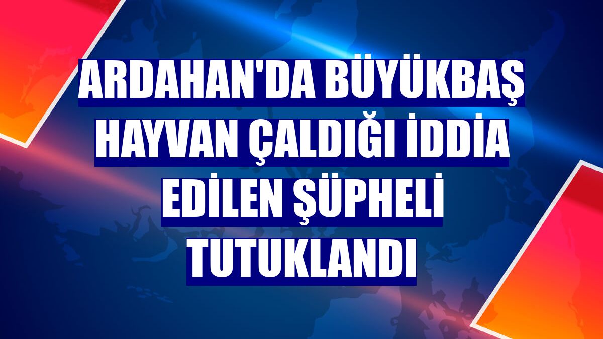 Ardahan'da büyükbaş hayvan çaldığı iddia edilen şüpheli tutuklandı