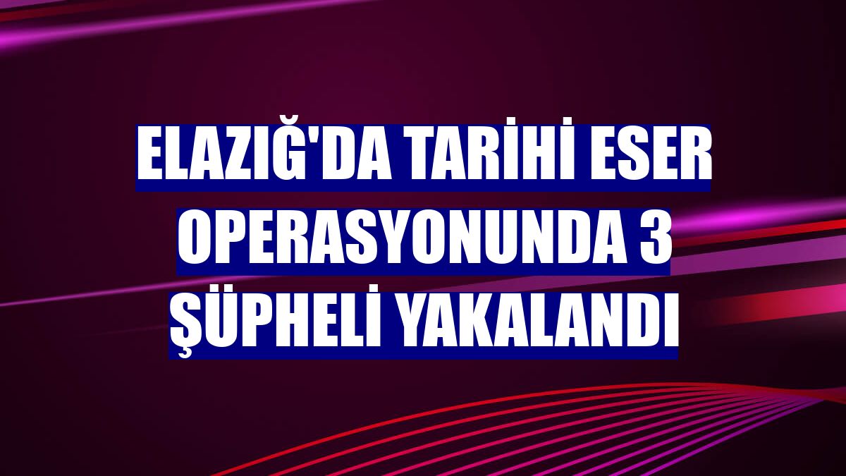 Elazığ'da tarihi eser operasyonunda 3 şüpheli yakalandı