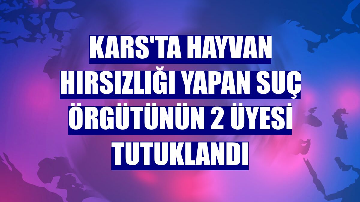 Kars'ta hayvan hırsızlığı yapan suç örgütünün 2 üyesi tutuklandı