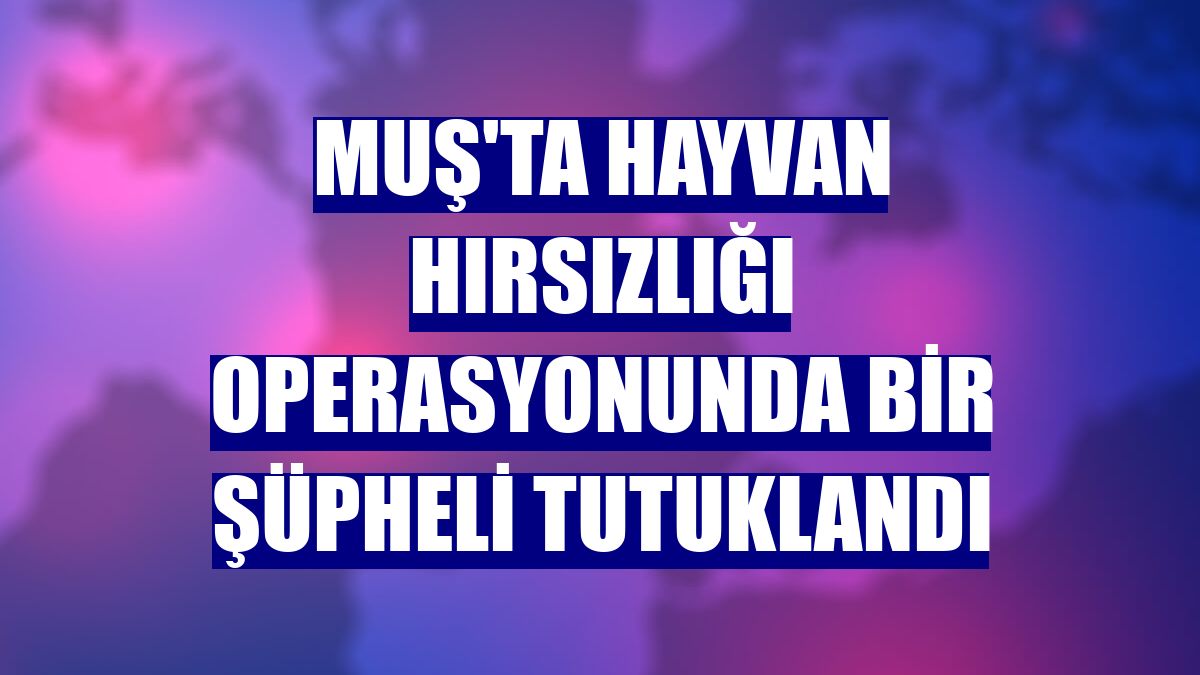 Muş'ta hayvan hırsızlığı operasyonunda bir şüpheli tutuklandı