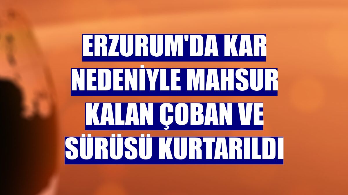 Erzurum'da kar nedeniyle mahsur kalan çoban ve sürüsü kurtarıldı
