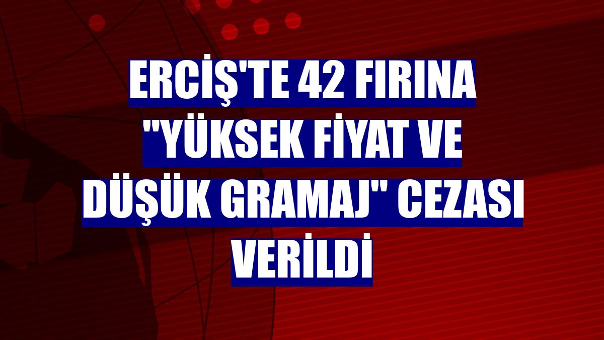 Erciş'te 42 fırına "yüksek fiyat ve düşük gramaj" cezası verildi