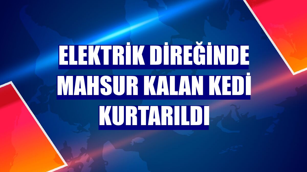 Elektrik direğinde mahsur kalan kedi kurtarıldı