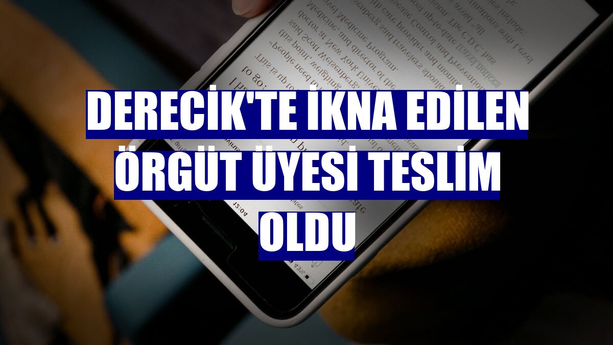 Derecik'te ikna edilen örgüt üyesi teslim oldu