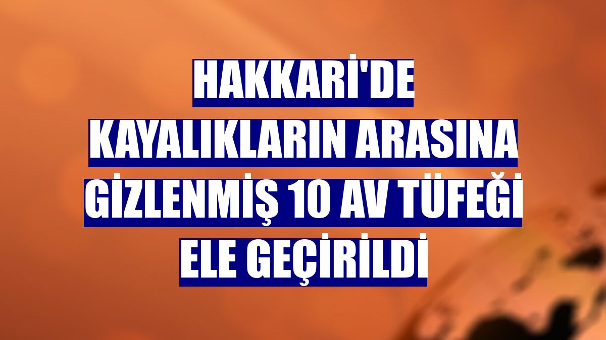 Hakkari'de kayalıkların arasına gizlenmiş 10 av tüfeği ele geçirildi