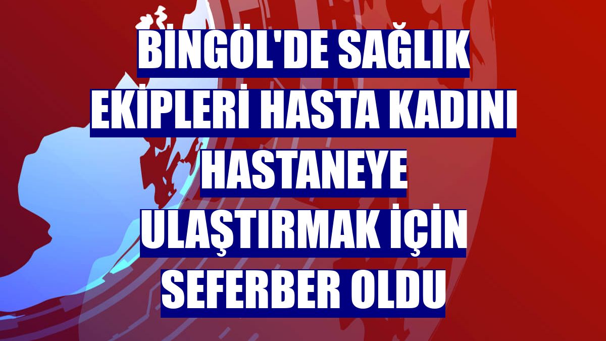 Bingöl'de sağlık ekipleri hasta kadını hastaneye ulaştırmak için seferber oldu