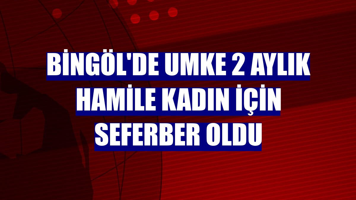 Bingöl'de UMKE 2 aylık hamile kadın için seferber oldu