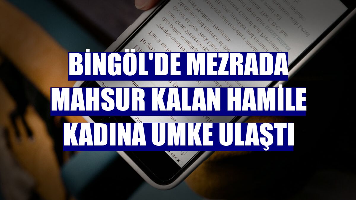 Bingöl'de mezrada mahsur kalan hamile kadına UMKE ulaştı