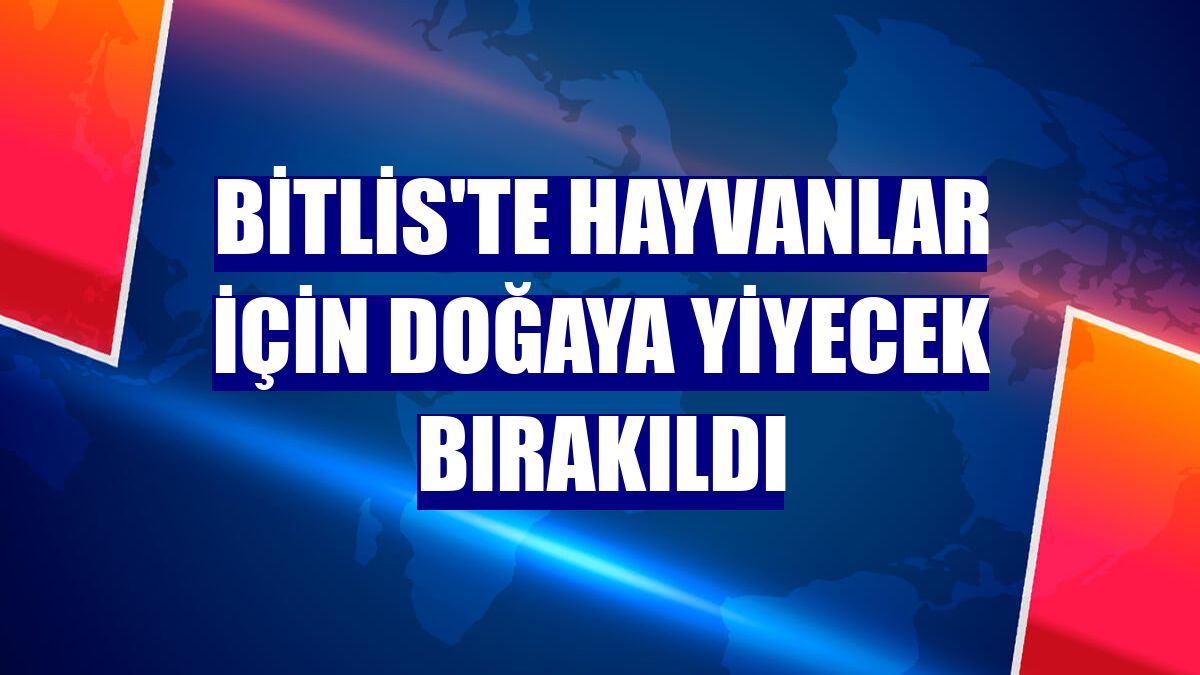 Bitlis'te hayvanlar için doğaya yiyecek bırakıldı