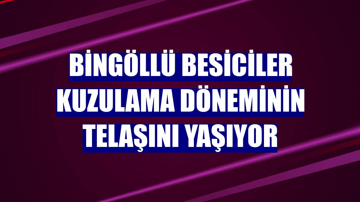 Bingöllü besiciler kuzulama döneminin telaşını yaşıyor