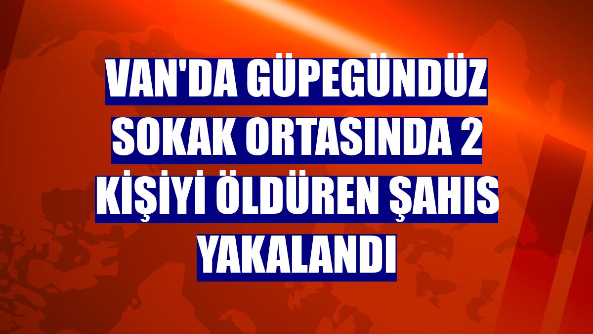 Van'da güpegündüz sokak ortasında 2 kişiyi öldüren şahıs yakalandı