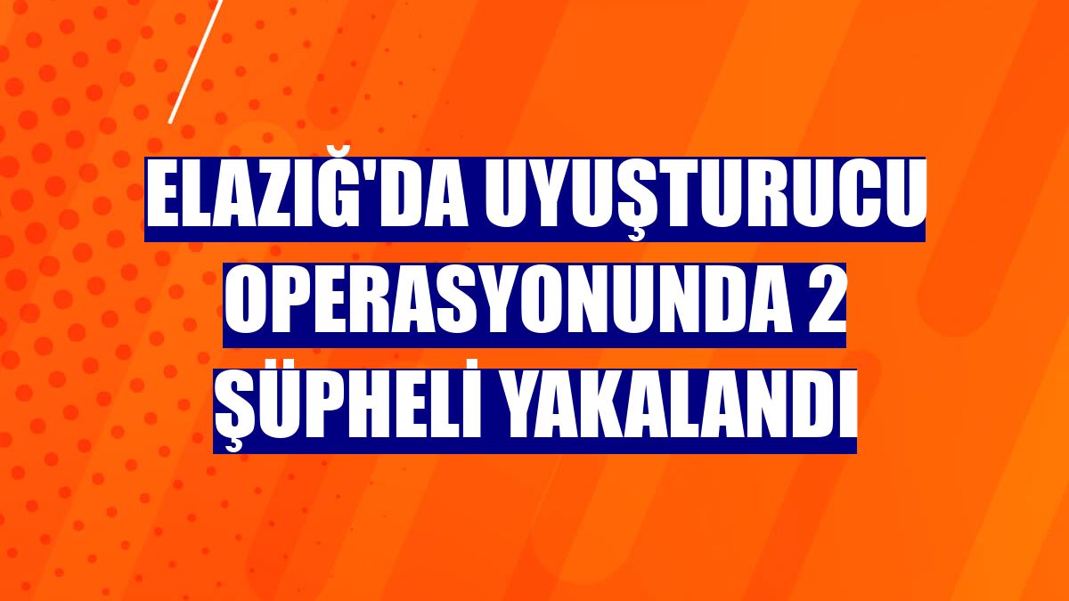 Elazığ'da uyuşturucu operasyonunda 2 şüpheli yakalandı