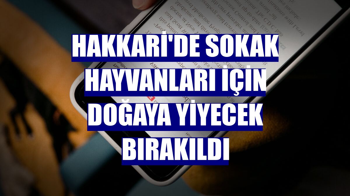Hakkari'de sokak hayvanları için doğaya yiyecek bırakıldı