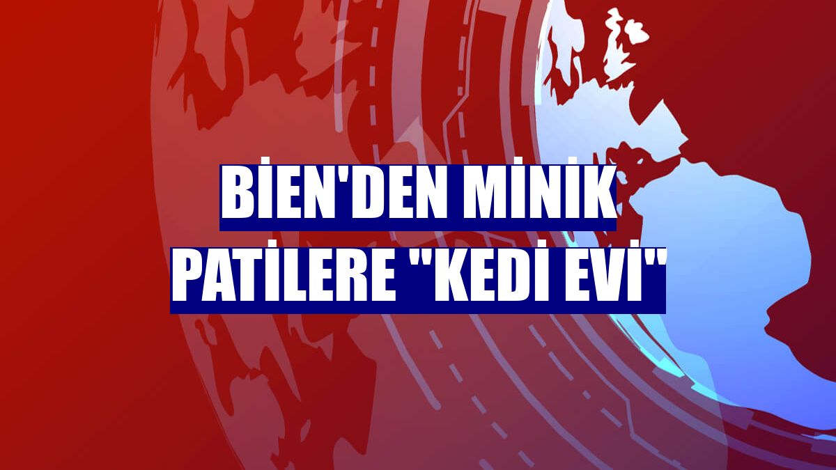 Bien'den minik patilere "kedi evi"