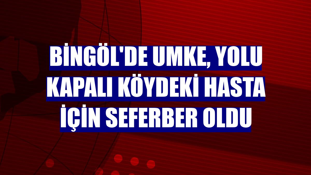 Bingöl'de UMKE, yolu kapalı köydeki hasta için seferber oldu