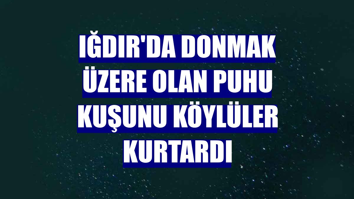Iğdır'da donmak üzere olan puhu kuşunu köylüler kurtardı