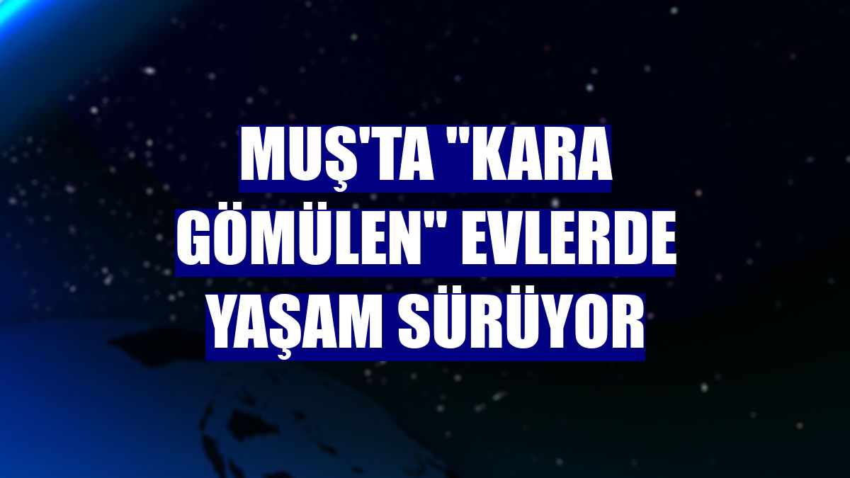 Muş'ta "kara gömülen" evlerde yaşam sürüyor