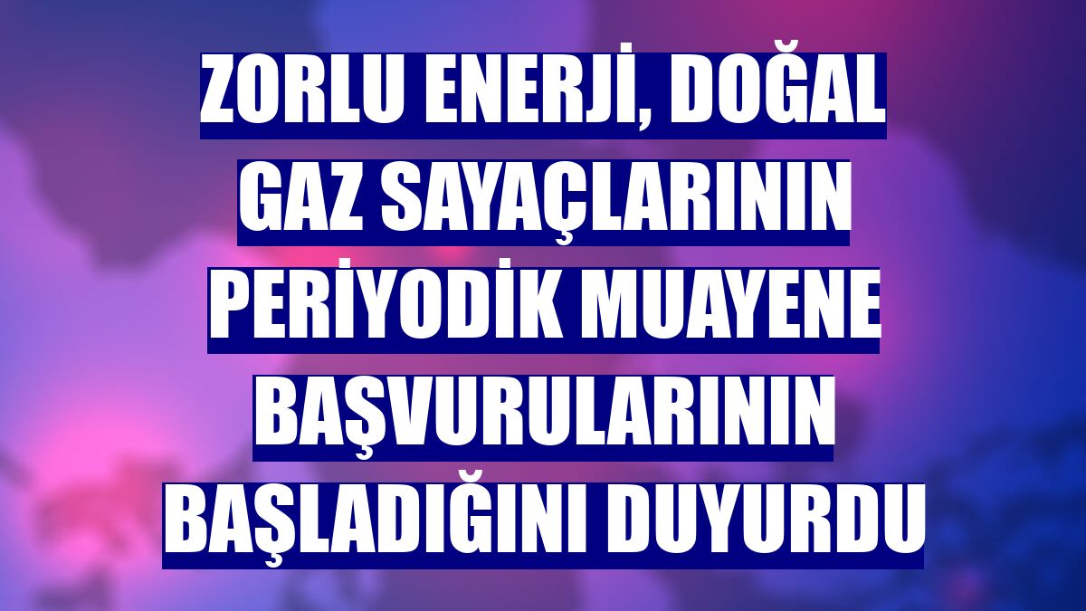 Zorlu Enerji, doğal gaz sayaçlarının periyodik muayene başvurularının başladığını duyurdu