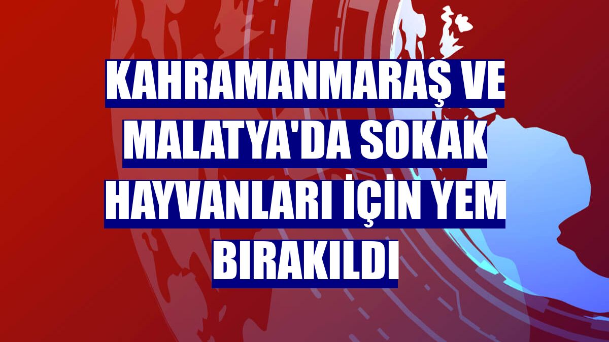 Kahramanmaraş ve Malatya'da sokak hayvanları için yem bırakıldı