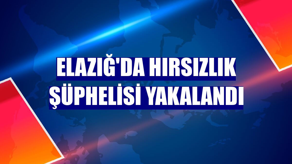 Elazığ'da hırsızlık şüphelisi yakalandı