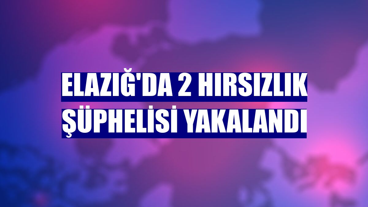 Elazığ'da 2 hırsızlık şüphelisi yakalandı