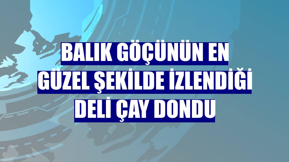 Balık göçünün en güzel şekilde izlendiği Deli Çay dondu