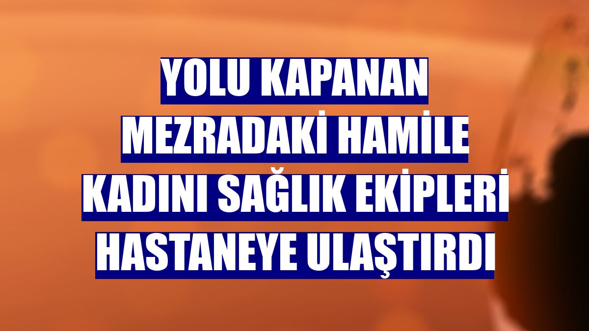 Yolu kapanan mezradaki hamile kadını sağlık ekipleri hastaneye ulaştırdı