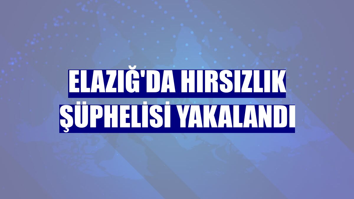 Elazığ'da hırsızlık şüphelisi yakalandı