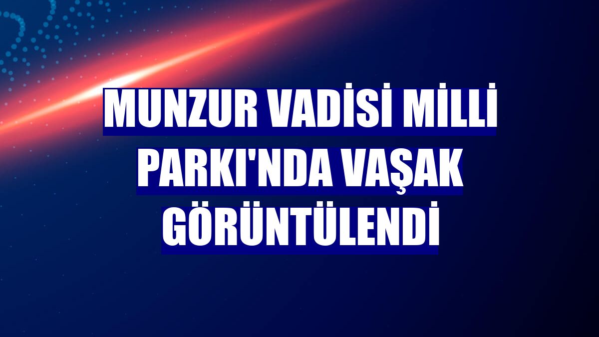 Munzur Vadisi Milli Parkı'nda vaşak görüntülendi