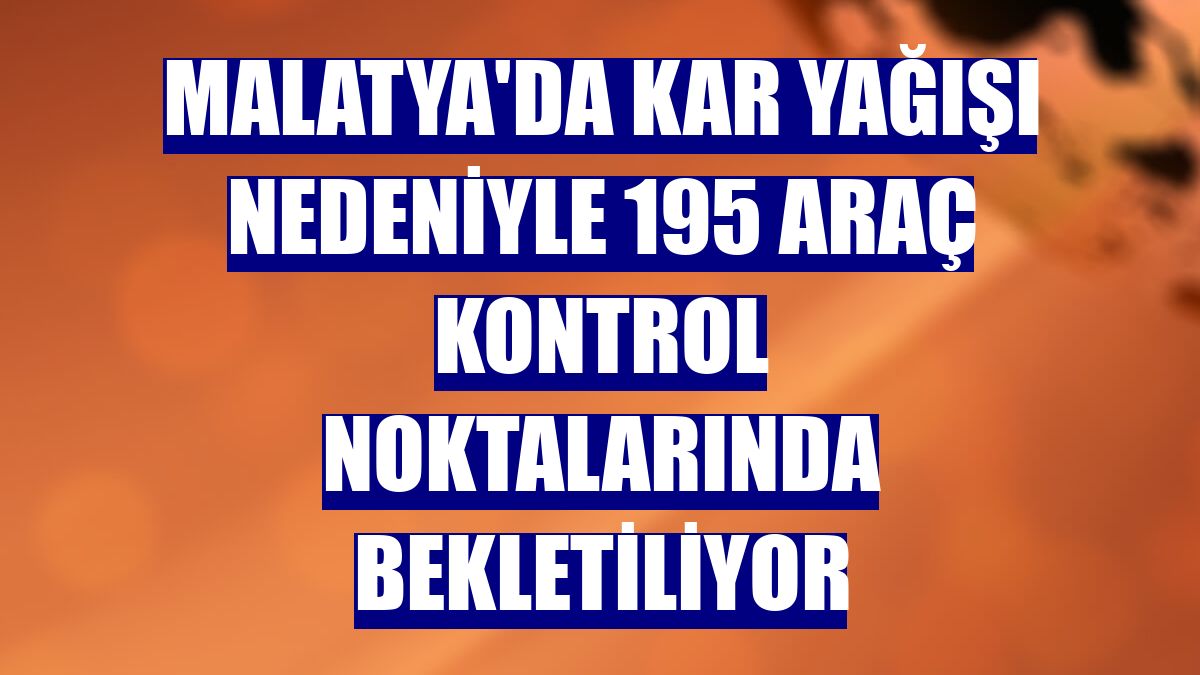 Malatya'da kar yağışı nedeniyle 195 araç kontrol noktalarında bekletiliyor
