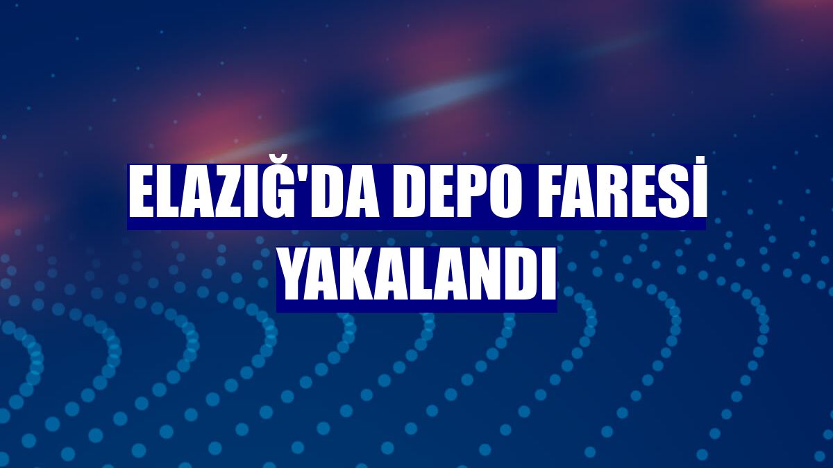 Elazığ'da depo faresi yakalandı