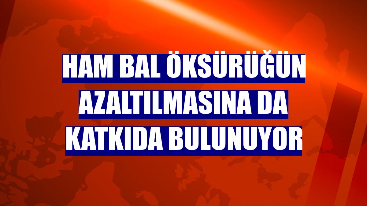 Ham bal öksürüğün azaltılmasına da katkıda bulunuyor