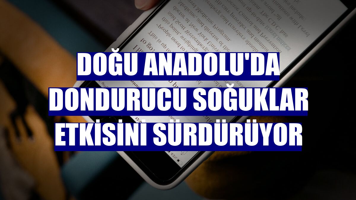 Doğu Anadolu'da dondurucu soğuklar etkisini sürdürüyor