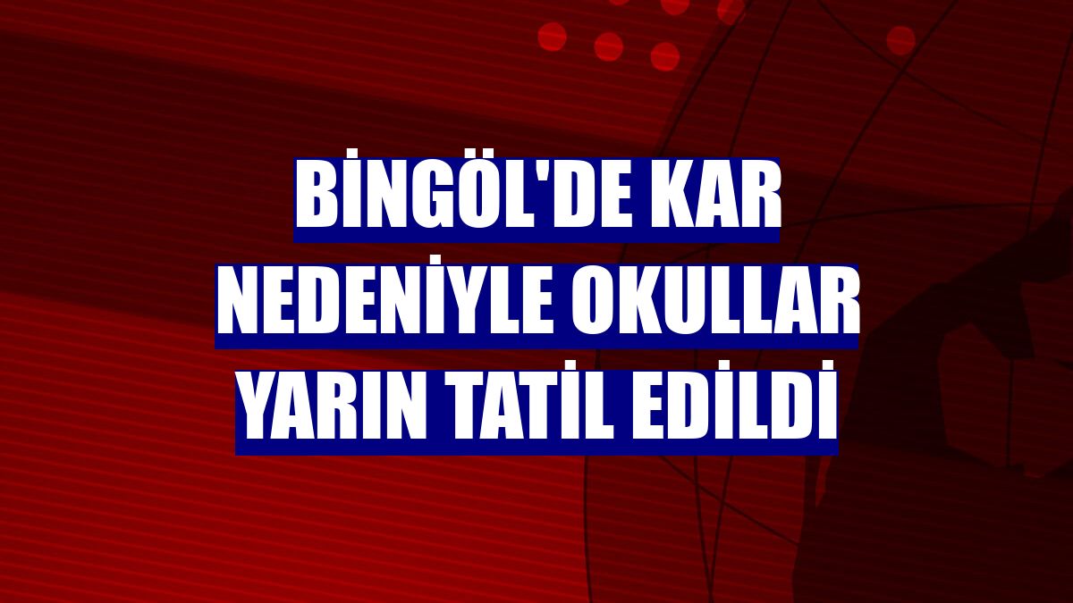 Bingöl'de kar nedeniyle okullar yarın tatil edildi