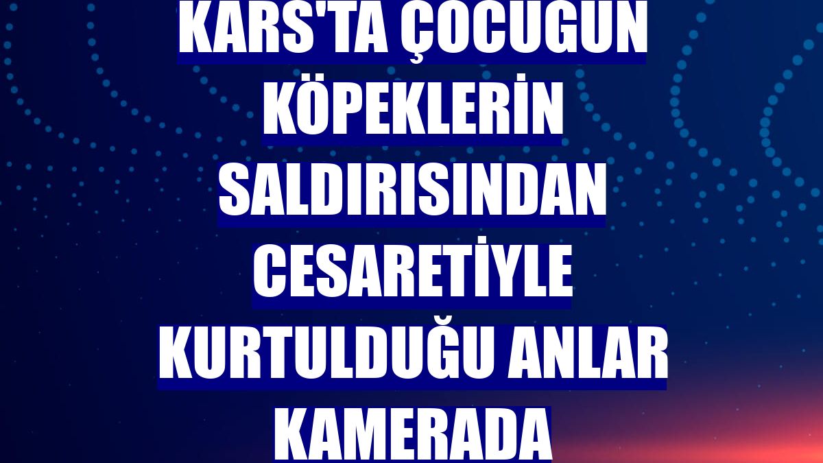 Kars'ta çocuğun köpeklerin saldırısından cesaretiyle kurtulduğu anlar kamerada