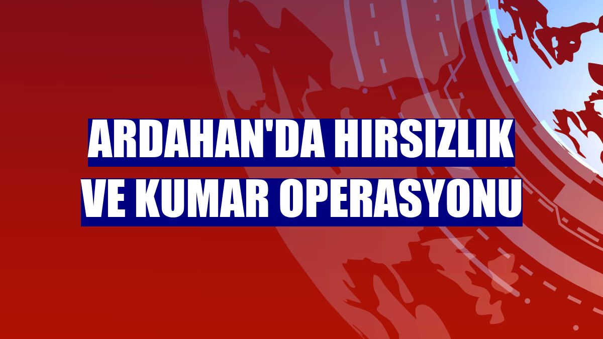 Ardahan'da hırsızlık ve kumar operasyonu