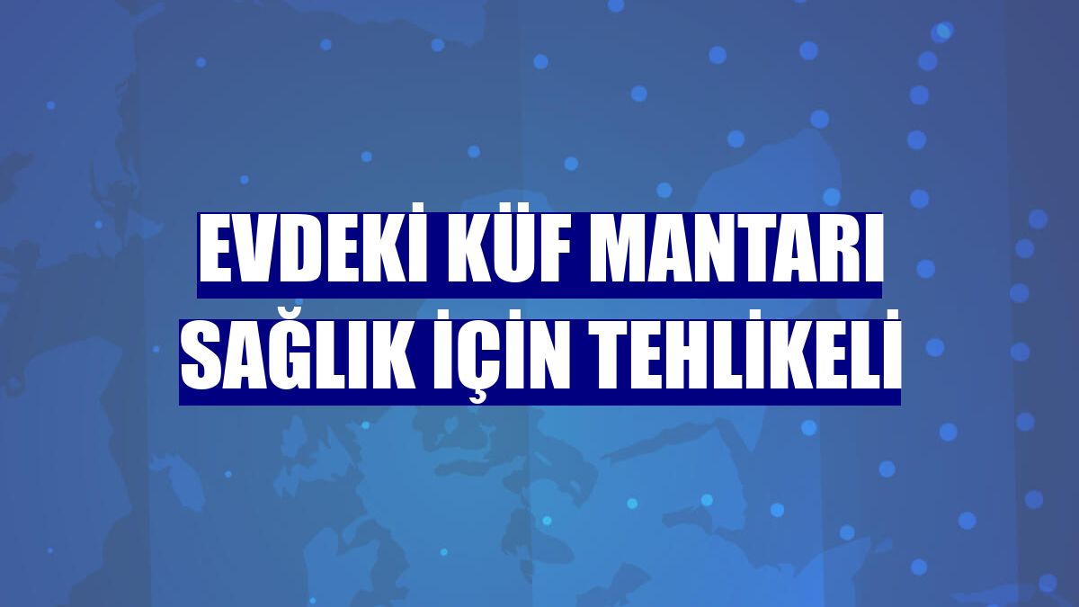 Evdeki küf mantarı sağlık için tehlikeli