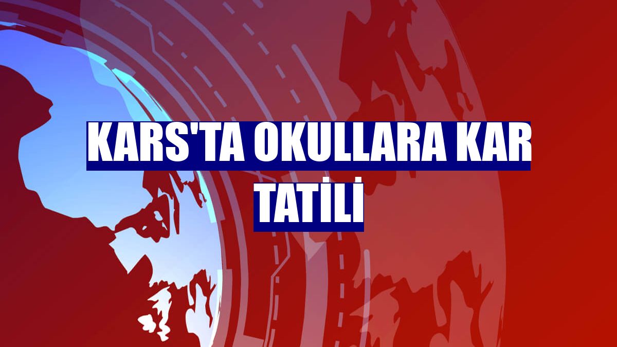 Kars'ta okullara kar tatili