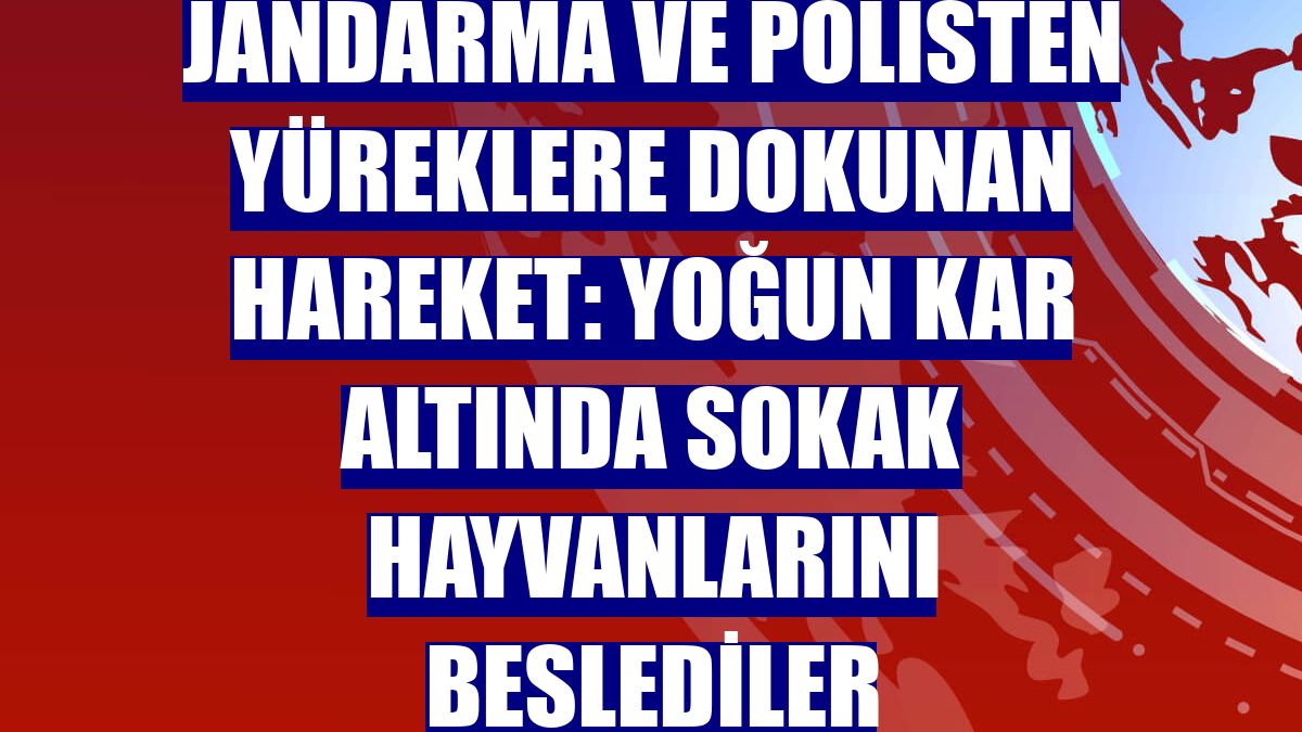 Jandarma ve polisten yüreklere dokunan hareket: Yoğun kar altında sokak hayvanlarını beslediler