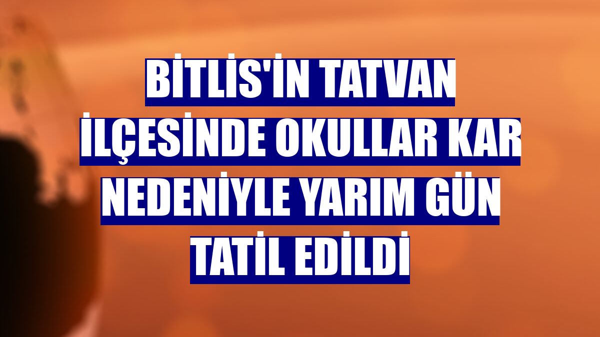Bitlis'in Tatvan ilçesinde okullar kar nedeniyle yarım gün tatil edildi