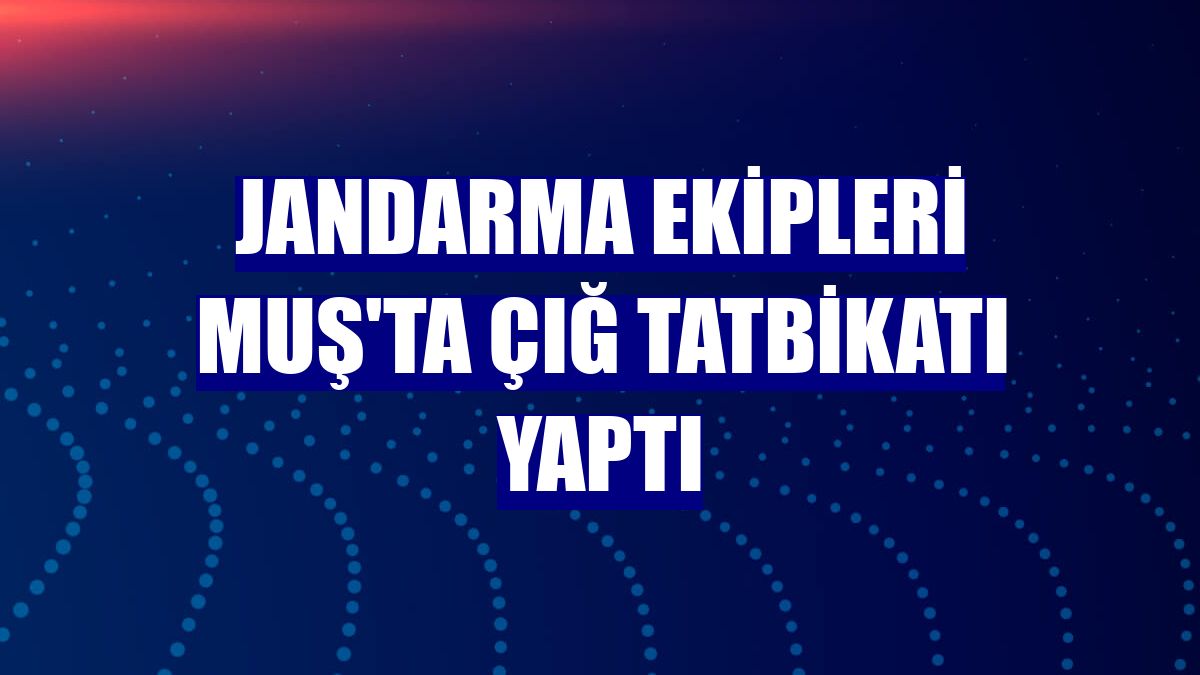 Jandarma ekipleri Muş'ta çığ tatbikatı yaptı