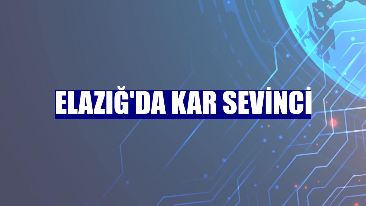 Elazığ'da kar sevinci