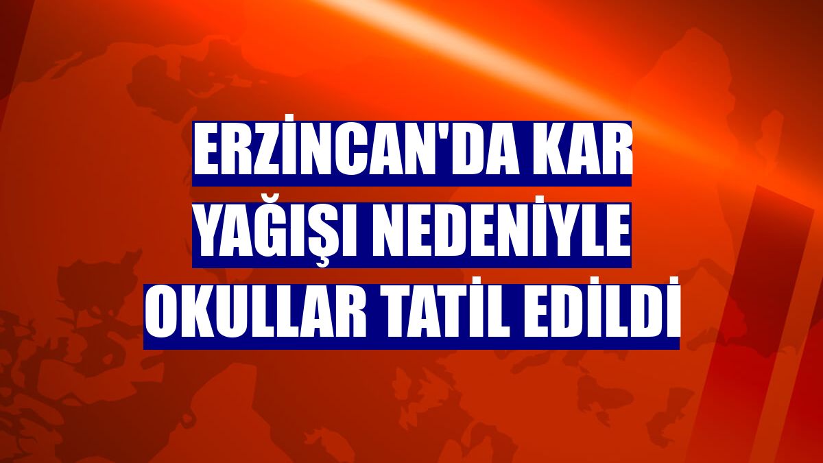 Erzincan'da kar yağışı nedeniyle okullar tatil edildi