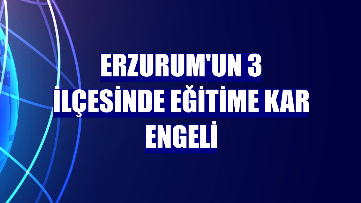 Erzurum'un 3 ilçesinde eğitime kar engeli