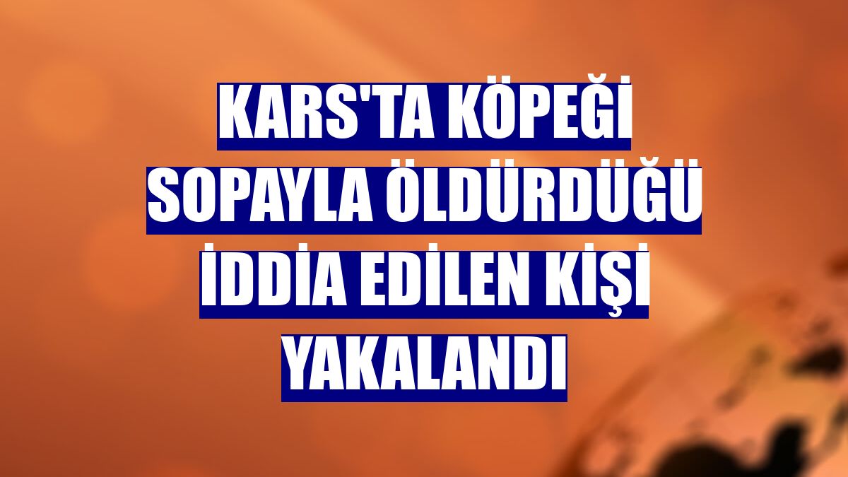 Kars'ta köpeği sopayla öldürdüğü iddia edilen kişi yakalandı