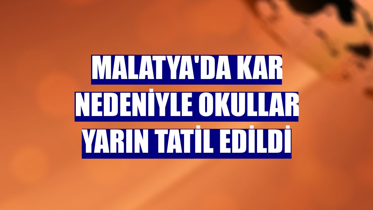 Malatya'da kar nedeniyle okullar yarın tatil edildi