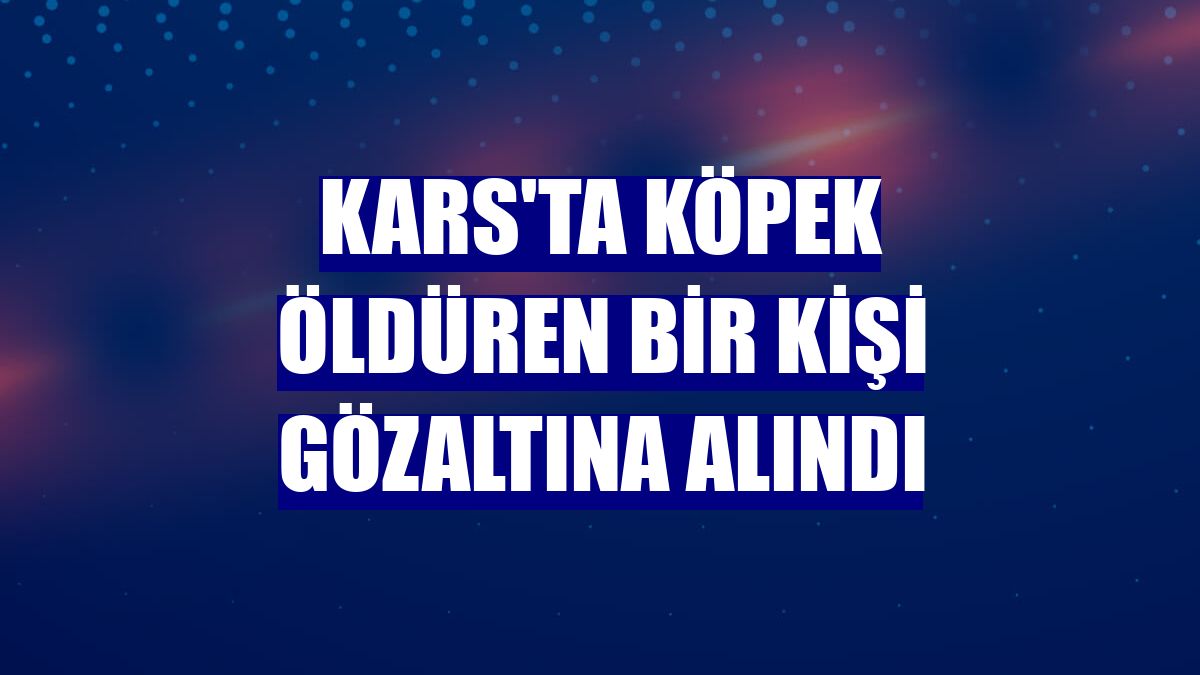 Kars'ta köpek öldüren bir kişi gözaltına alındı