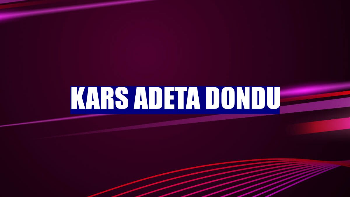 Kars adeta dondu