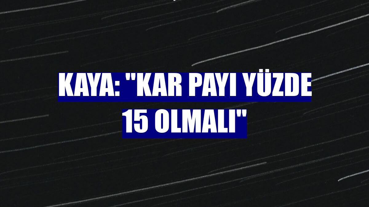 Kaya: "Kar payı yüzde 15 olmalı"