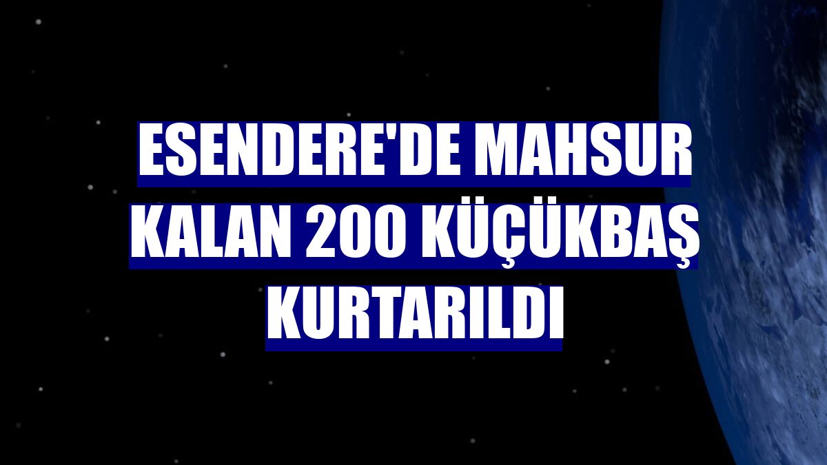 Esendere'de mahsur kalan 200 küçükbaş kurtarıldı